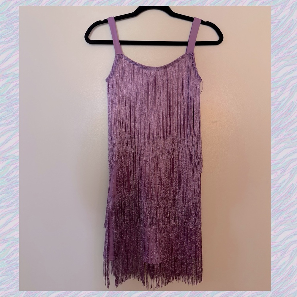 Purple and Silver Fringe Dress
